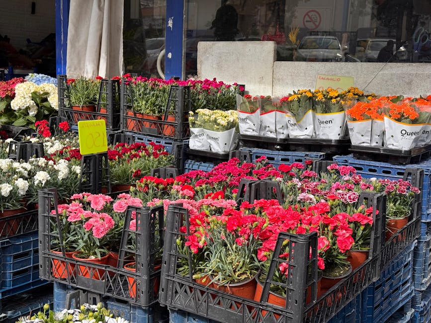 A display of various potted flowers arranged in black plastic crates outside a flower shop, including pink, red, white, orange, and yellow blooms. The flowers are fresh with vibrant petals and healthy