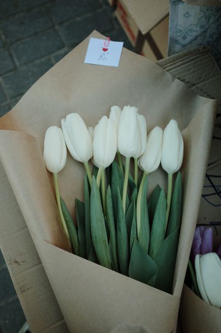 A bouquet of nine pristine white tulips with smooth, elongated petals and vibrant green stems and leaves, wrapped in plain brown craft paper. The tulips are arranged upright and appear fresh, with sli