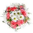 This bouquet, expertly arranged in Rotherhithe's local style, is a tribute to the bright promise of spring. At the arrangement's heart, radiant white daisies with golden-green centers bask alongside plush coral-pink carnations, their ruffled petals lending richness and a tactile softness. Airy clusters of baby's breath weave among the main blooms like drifting clouds, imparting lightness and depth. Peeking discreetly from lush sprays of eucalyptus and deeper greenery, you'll discover a few blushing alstroemeria buds, their streaks of pink and violet adding subtle intrigue-much like the hidden gems found throughout Rotherhithe's riverside lanes. The fresh and harmonious palette offers both tranquillity and exuberance, perfect for marking special days, from milestone birthdays in Rotherhithe Village to sending encouragement to a friend near Surrey Quays. The bouquet's light, joyful energy is the kind that immediately uplifts any space-a flourish of colour and beauty inspired by the community's peaceful parks and lively local culture. Each stem, delicately placed, speaks to the florist's genuine care and artistry, making this a bouquet that carries the warmth of Rotherhithe straight to your door.